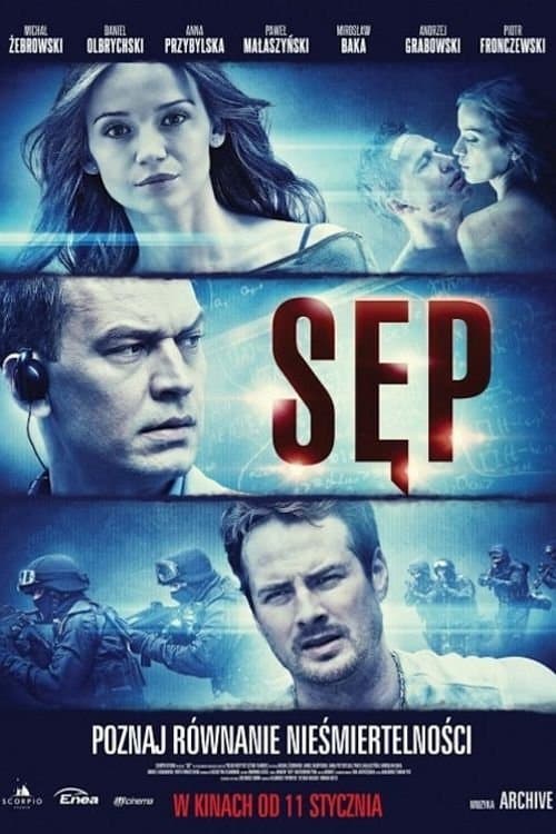 Sęp poster
