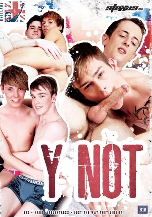 Y Not poster