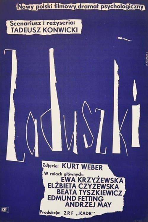 Zaduszki poster