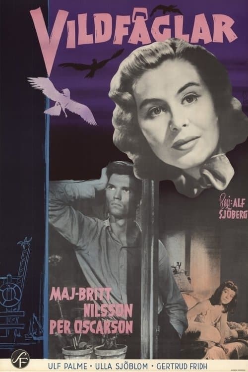 Vildfåglar poster