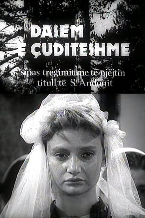 Dasëm e çuditëshme poster