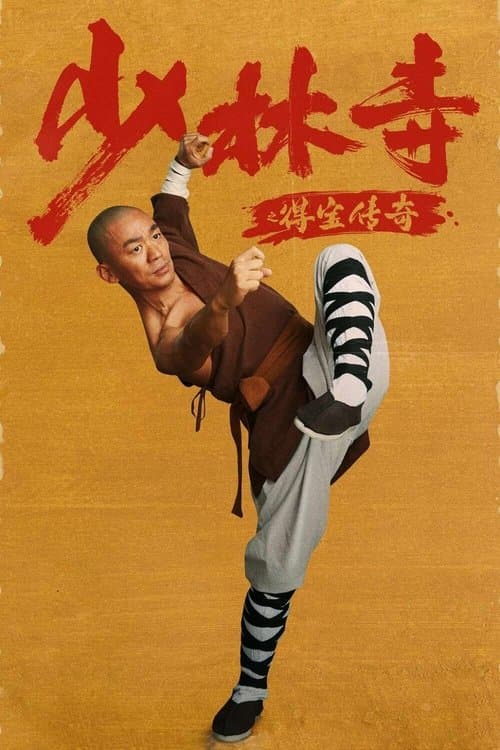 少林寺之得宝传奇 poster