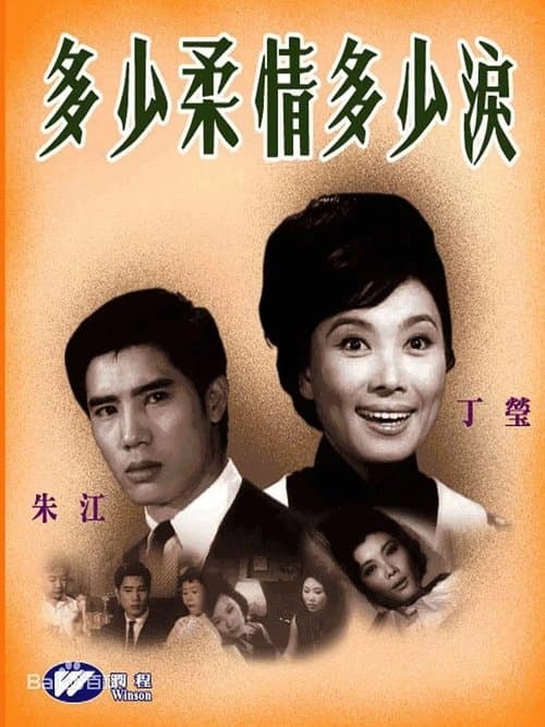 多少柔情多少淚 poster