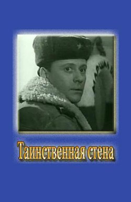 Таинственная стена poster