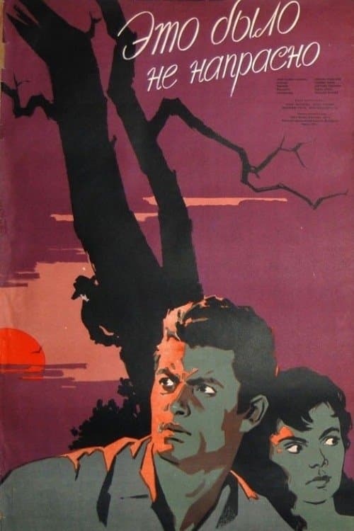 Nije bilo uzalud poster