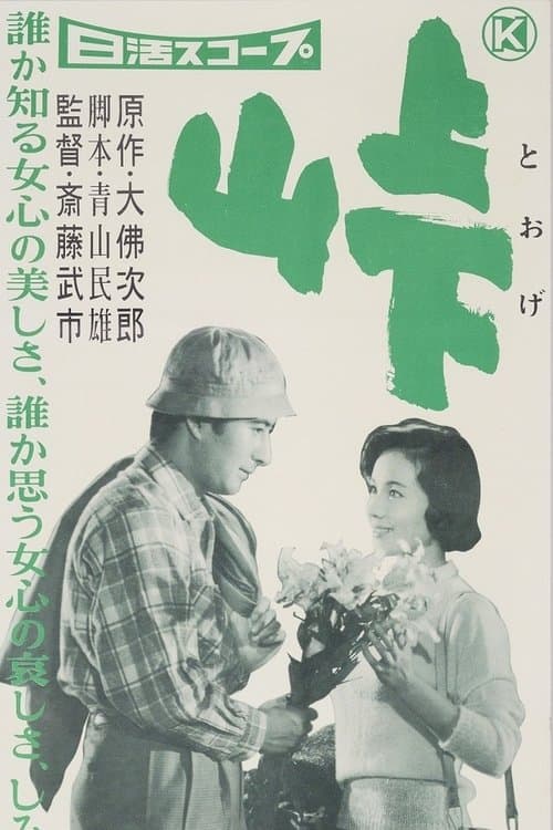 峠 poster