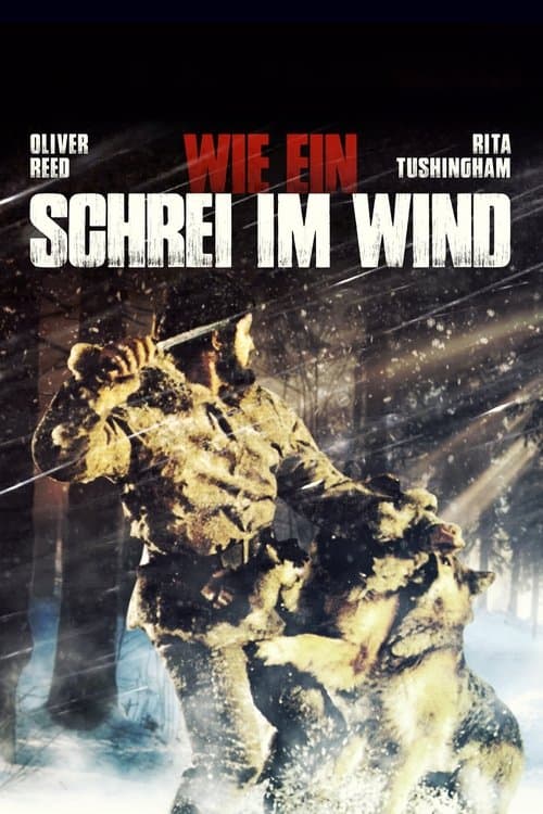 Wie ein Schrei im Wind poster