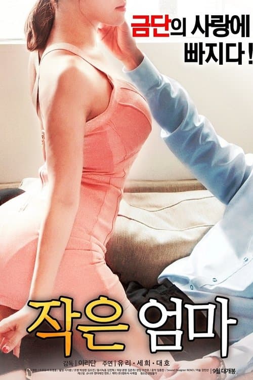 작은 엄마 poster
