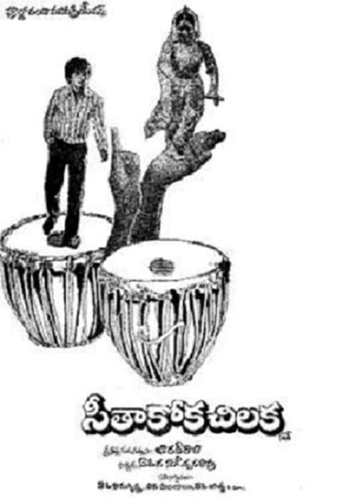 సీతాకోకచిలుక poster