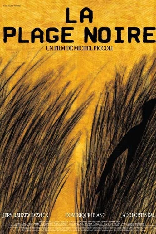 La Plage noire poster