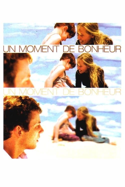 Un moment de bonheur poster