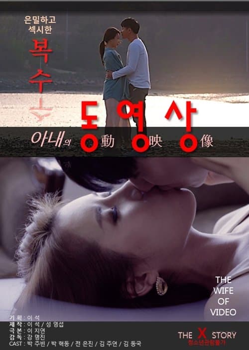 아내의 동영상 poster