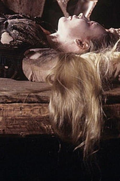 Häxa poster