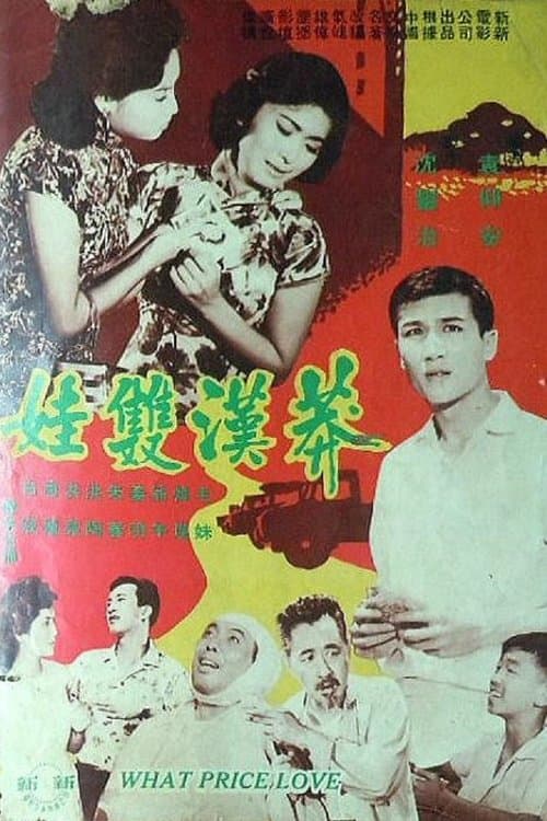 浪子雙娃 poster