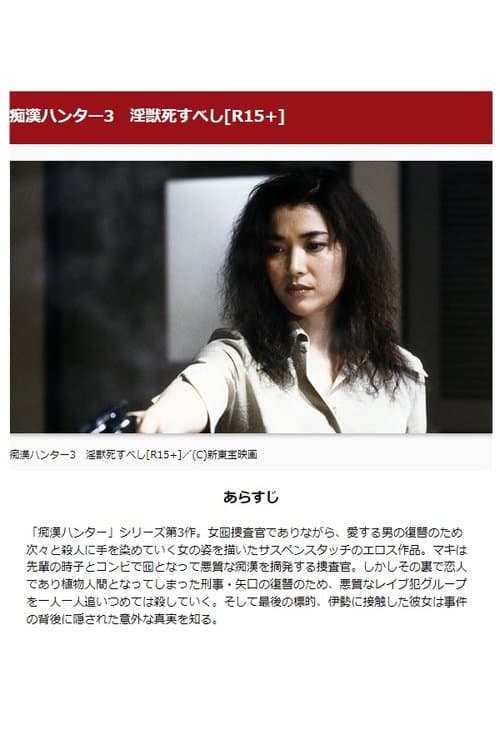 女痴漢捜査官３　恥情のテクニック poster