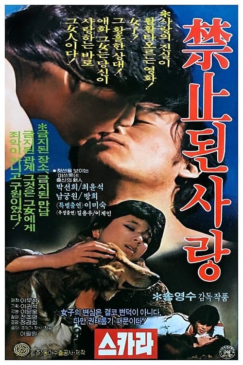 금지된 사랑 poster