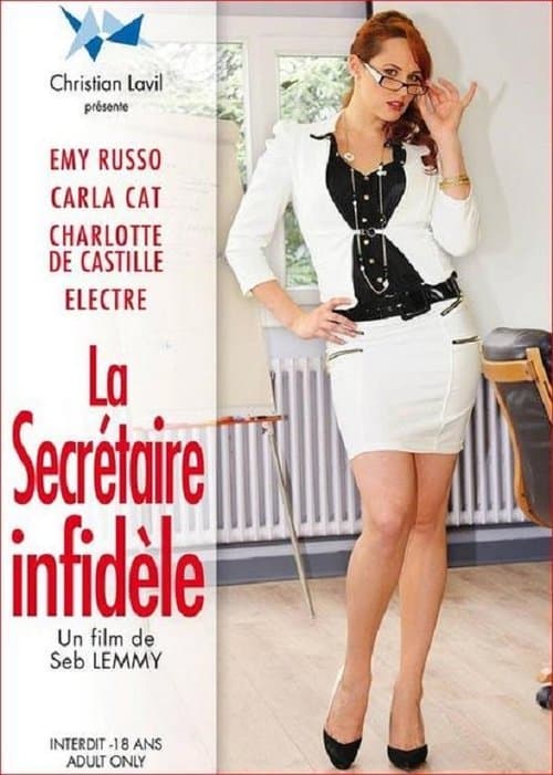 La secrétaire infidèle poster