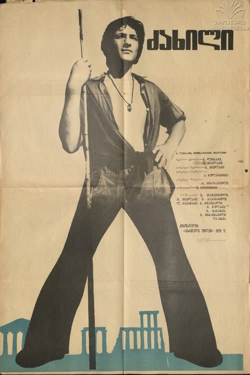 ძახილი poster