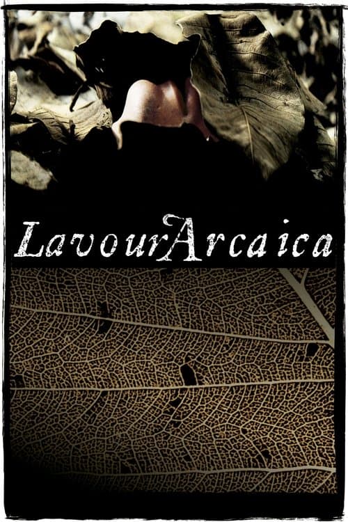 Lavoura arcaica poster