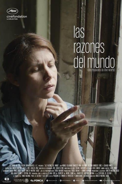 Las Razones del Mundo poster