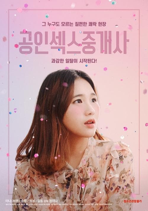 공인섹스중개사 poster