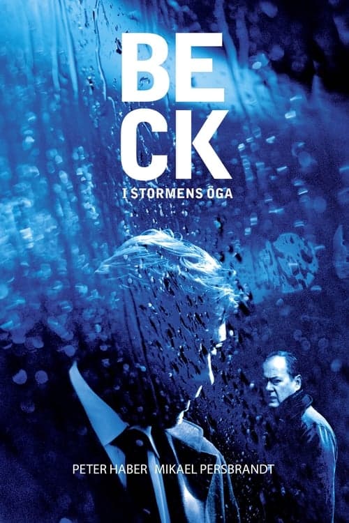 Kommissar Beck 25 - Schatten der Vergangenheit poster
