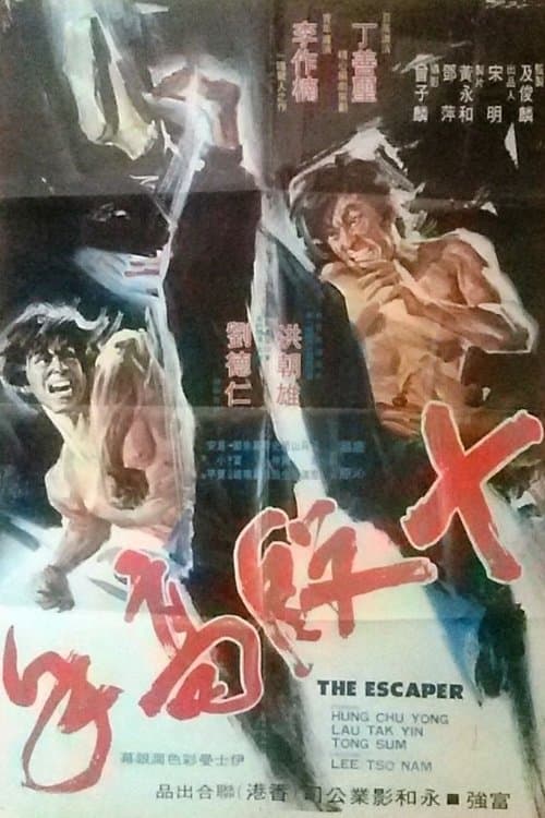 十段高手 poster