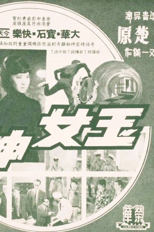 玉女神偷 poster