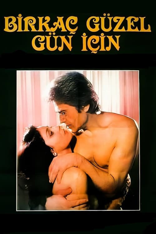 Birkaç Güzel Gün İçin poster