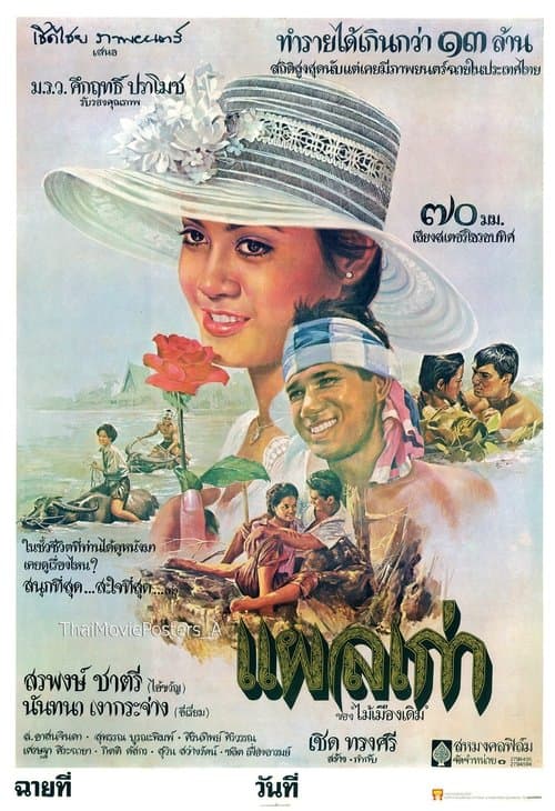 แผลเก่า poster