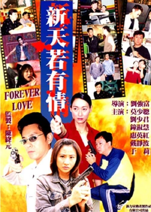 新天若有情 poster