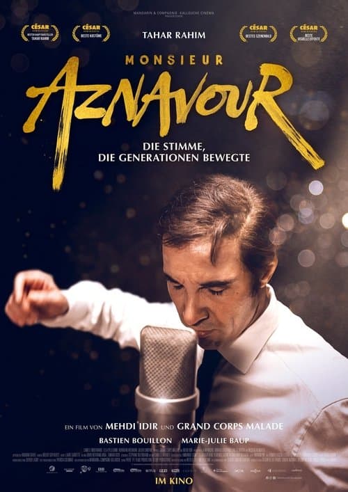 Monsieur Aznavour poster
