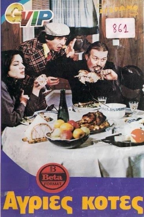 Άγριες κότες poster