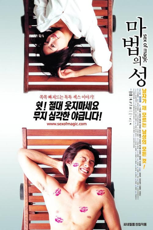 마법의 성 poster