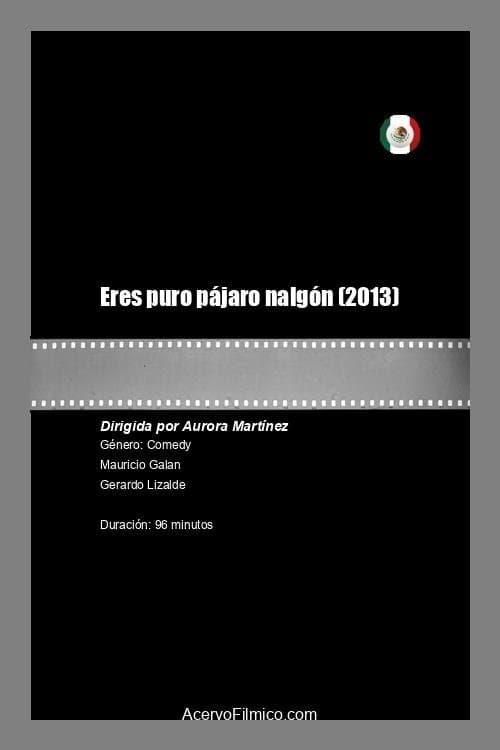 Eres puro pájaro nalgón poster