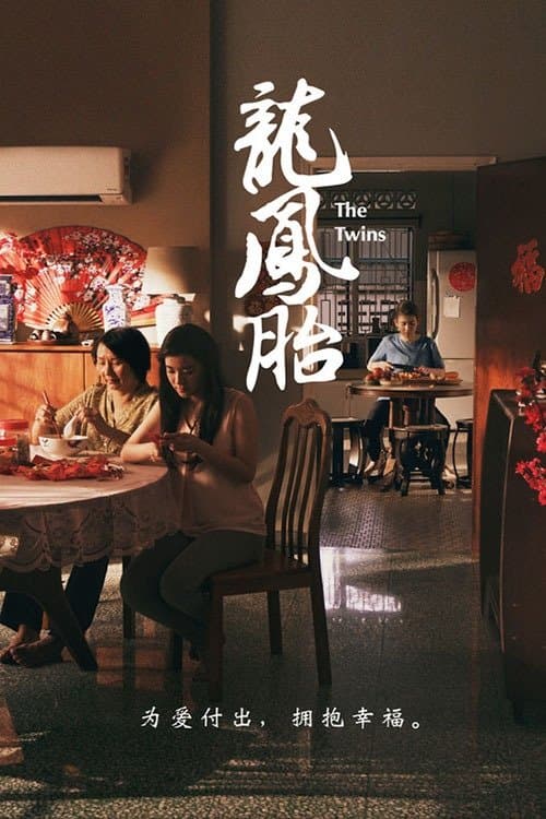 龙凤胎 poster