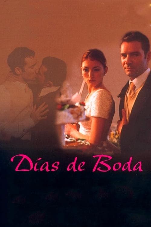 Días de voda poster