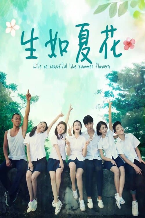 生如夏花 poster