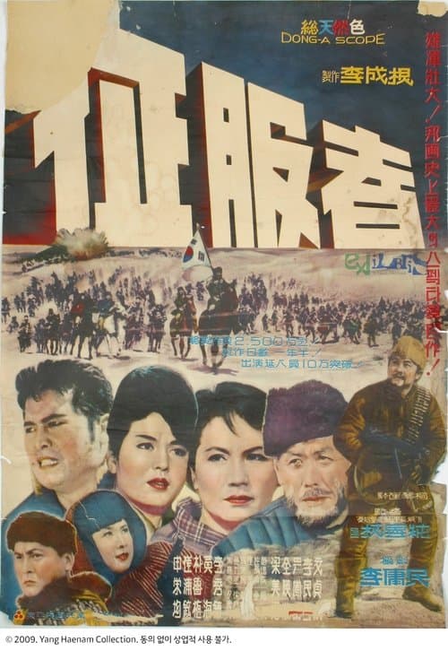 정복자 poster
