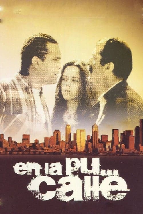 En la puta calle poster