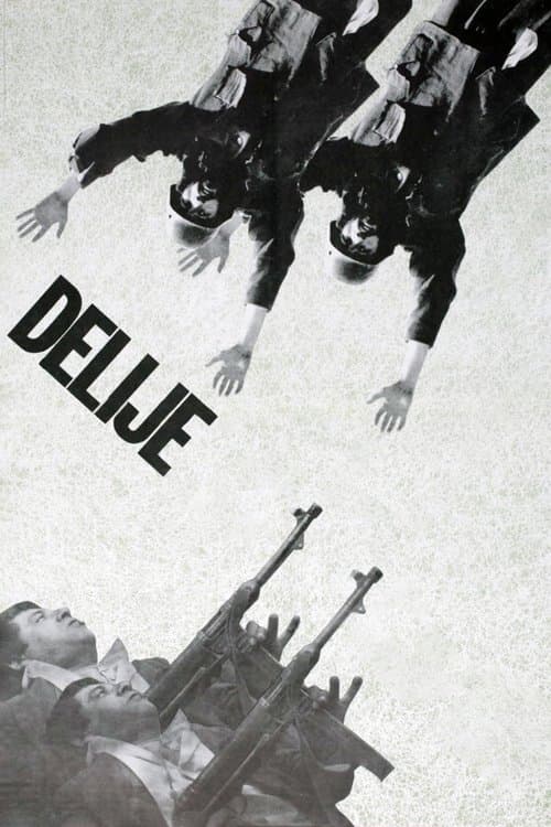 Делије poster