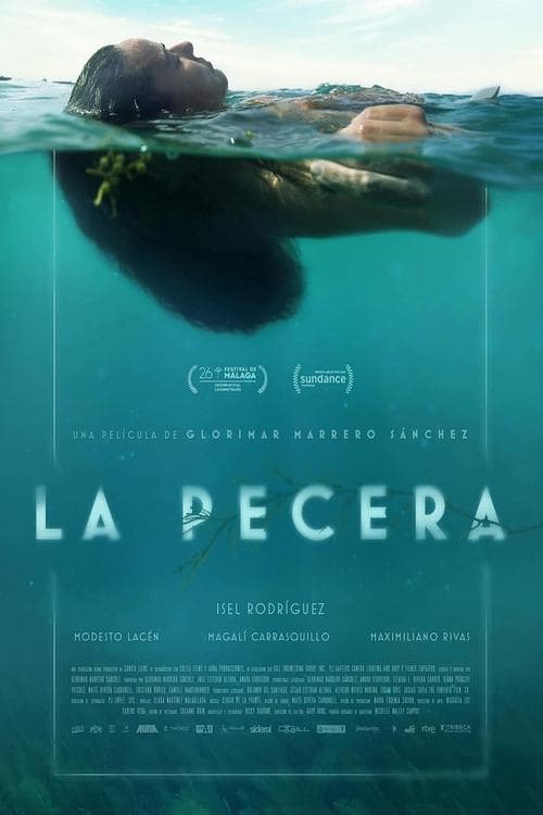 La pecera poster