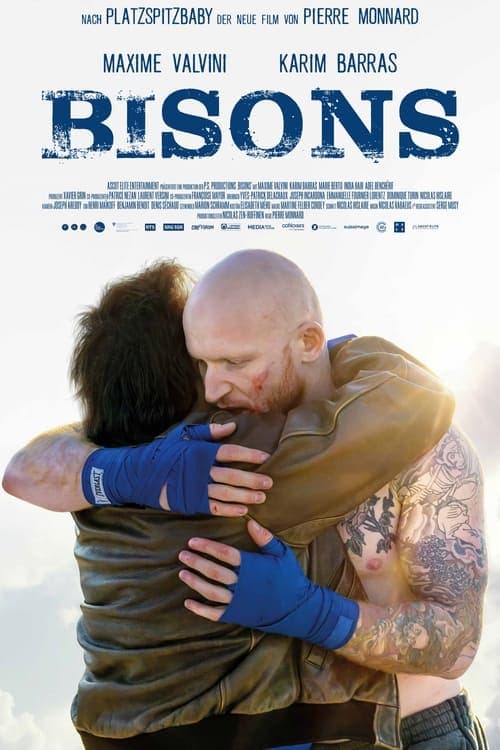 Bisons poster