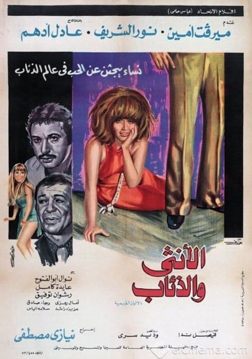 الأنثى والذئاب poster