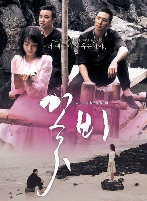 꽃비 poster