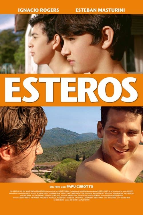 Esteros poster