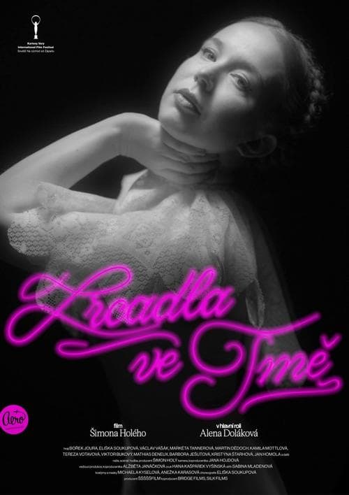 Zrcadla ve tmě poster