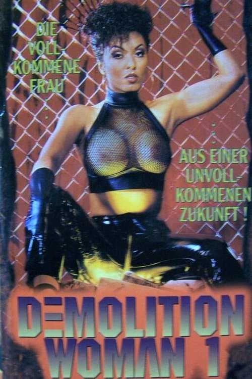 Demolition Woman poster
