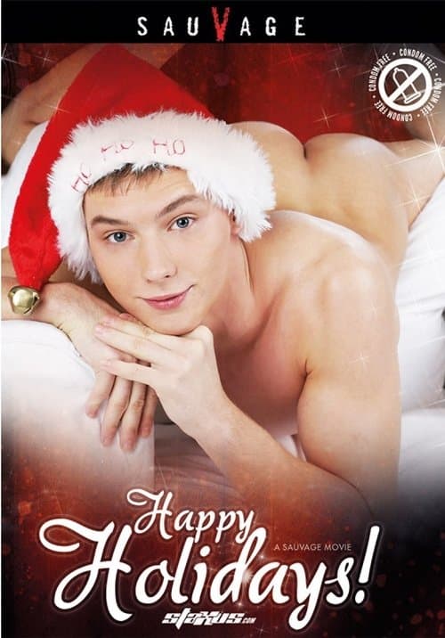 Happy Holidays! poster