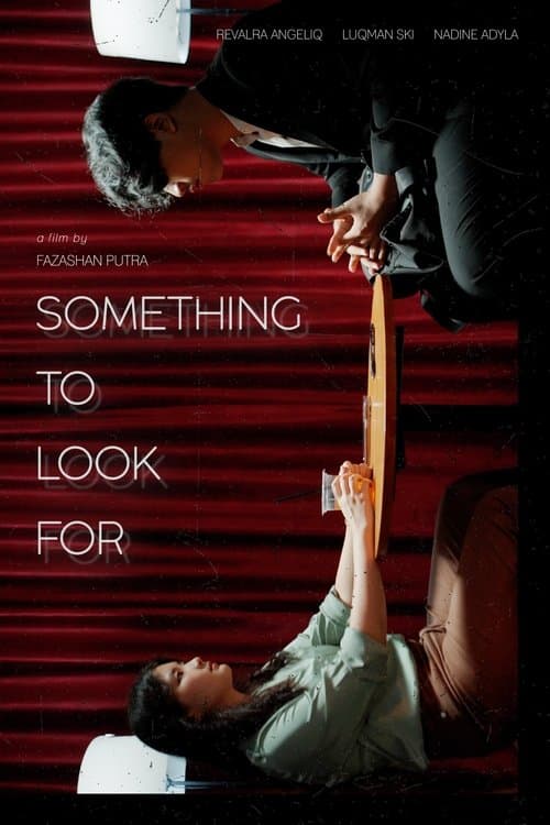 Something To Look For poster